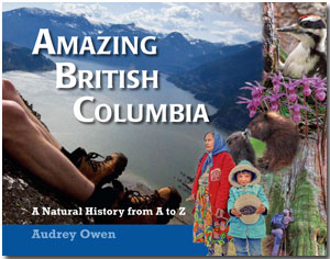 final front cover of Amazing British Columbia